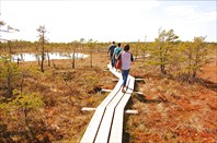 Юрмала и Болотная тропа